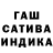 Конопля сатива MIKOSTER