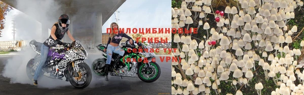 винт Армянск