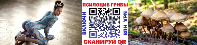 shop какой сайт  Чердынь  Галлюциногенные грибы ЛСД  даркнет сайт 